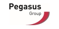Pegasus Group