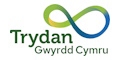 Trydan Gwyrdd Cymru